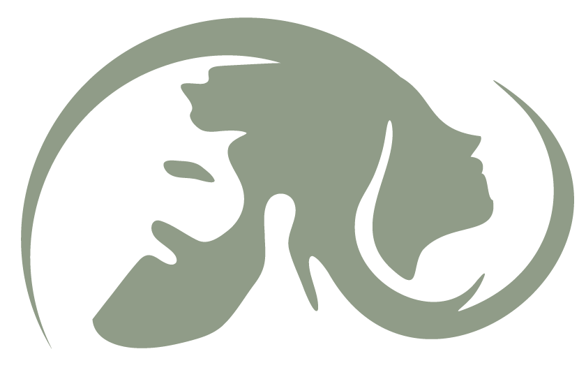 Kopfquartier Logo in Grün